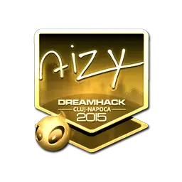 Sticker | aizy (Gold) | Cluj-Napoca 2015