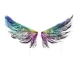 Sealed Graffiti | Wings
