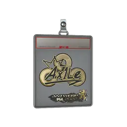 Sticker Slab | Ax1Le (Gold) | Antwerp 2022