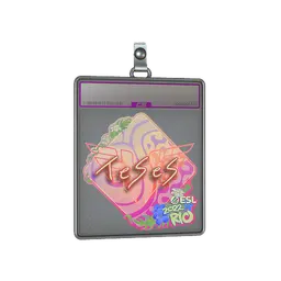 Sticker Slab | TeSeS (Holo) | Rio 2022
