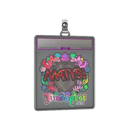 Sticker Slab | MATYS (Holo) | Budapest 2025