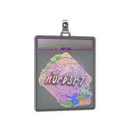 Sticker Slab | n0rb3r7 (Holo) | Rio 2022
