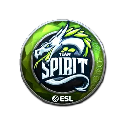 Sticker | Team Spirit (Foil) | Katowice 2019
