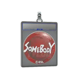 Sticker Slab | somebody | Katowice 2019