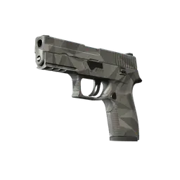 P250 | Facets