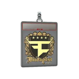 Sticker Slab | FaZe Clan (Gold) | Budapest 2025