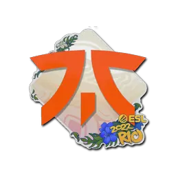 Sticker | Fnatic | Rio 2022