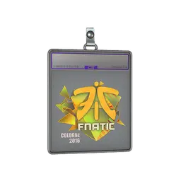 Sticker Slab | Fnatic (Holo) | Cologne 2016