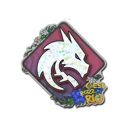 Sticker | Team Spirit (Glitter) | Rio 2022