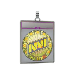 Sticker Slab | Natus Vincere (Holo) | Cologne 2026
