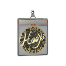 Sticker Slab | HooXi (Gold) | Cologne 2026