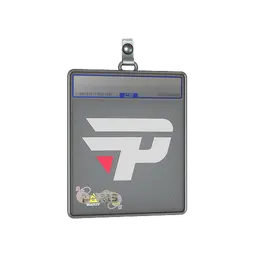 Sticker Slab | paiN Gaming | Paris 2023