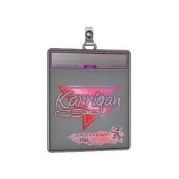 Sticker Slab | karrigan (Holo) | Antwerp 2022