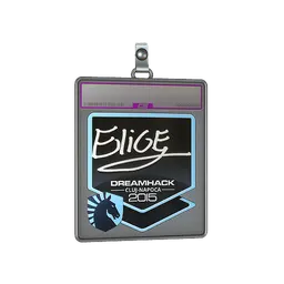 Sticker Slab | EliGE (Foil) | Cluj-Napoca 2015