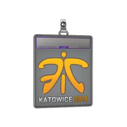 Sticker Slab | Fnatic (Holo) | Katowice 2014