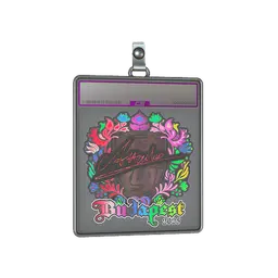 Sticker Slab | Attacker (Holo) | Budapest 2025