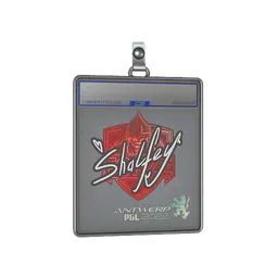 Sticker Slab | shalfey | Antwerp 2022