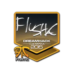Sticker | flusha | Cluj-Napoca 2015