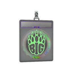 Sticker Slab | BIG (Holo) | Katowice 2019