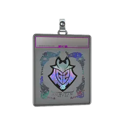 Sticker Slab | G2 Esports (Holo) | Austin 2025
