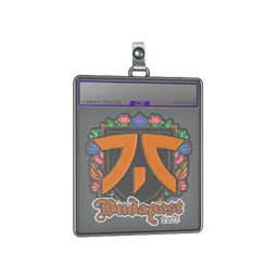Sticker Slab | fnatic (Embroidered) | Budapest 2025