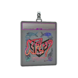 Sticker Slab | xfl0ud (Holo) | Austin 2025