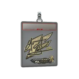 Sticker Slab | dgt (Gold) | Antwerp 2022