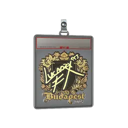 Sticker Slab | Lucaozy (Gold) | Budapest 2025