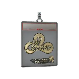 Sticker Slab | nafany (Gold) | Antwerp 2022