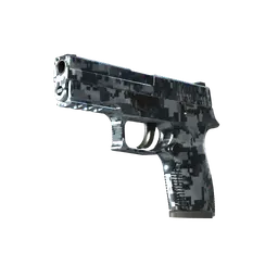 P250 | Steel Disruption