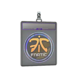 Sticker Slab | Fnatic (Holo) | Cologne 2014