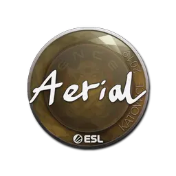 Sticker | Aerial | Katowice 2019
