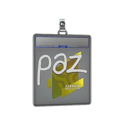 Sticker Slab | paz | Boston 2018