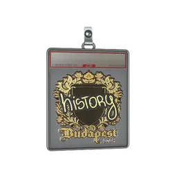 Sticker Slab | History (Gold) | Budapest 2025