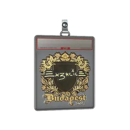 Sticker Slab | Ex3rcice (Gold) | Budapest 2025