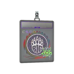 Sticker Slab | BIG (Holo) | 2020 RMR