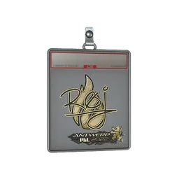 Sticker Slab | roeJ (Gold) | Antwerp 2022