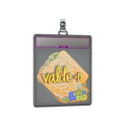 Sticker Slab | v4lde (Holo) | Rio 2022
