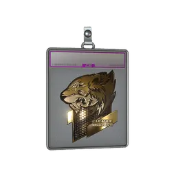 Sticker Slab | Flash Gaming (Gold) | Boston 2018