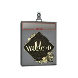 Sticker Slab | v4lde (Gold) | Rio 2022