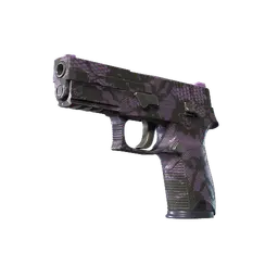 P250 | Plum Netting