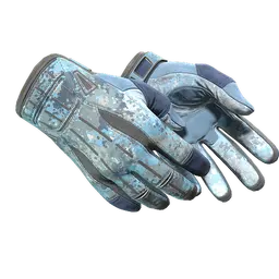 ★ Sport Gloves | Frosty