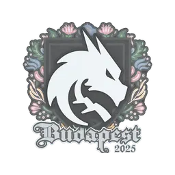 Sticker | Team Spirit | Budapest 2025