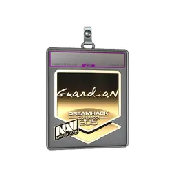 Sticker Slab | GuardiaN (Gold) | Cluj-Napoca 2015