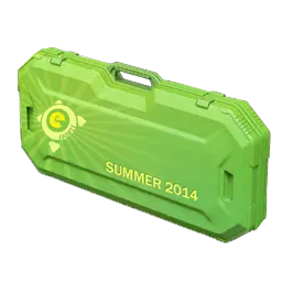 eSports 2014 Summer Case