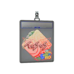 Sticker Slab | TeSeS | Rio 2022