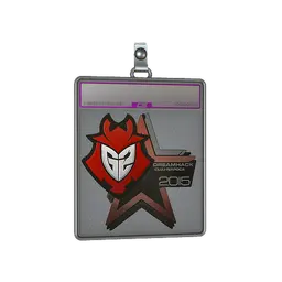Sticker Slab | G2 Esports (Foil) | Cluj-Napoca 2015