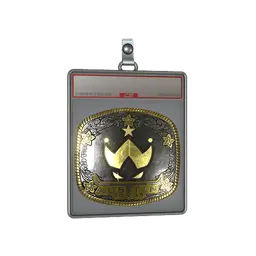 Sticker Slab | Wildcard (Gold) | Austin 2025
