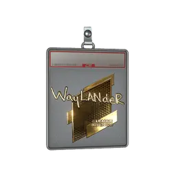 Sticker Slab | wayLander (Gold) | Boston 2018