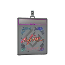 Sticker Slab | efire (Holo) | Austin 2025